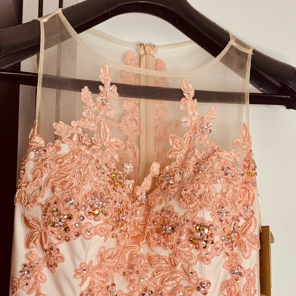 A speed Design  Salmon Pink Mesh Neckline Sleeveless Mermaid Gown - Picture 5 of 9